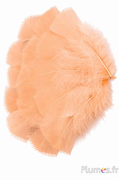 Tacchina - 6-8 cm - salmone